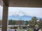 tj20250420_112029_small.jpg