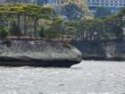 tj20250422_143134_small.jpg