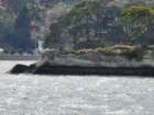 tj20250422_143137_small.jpg