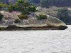 tj20250422_143321_small.jpg
