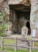 tj20250422_151346_small.jpg