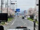 tj20250423_120459_small.jpg