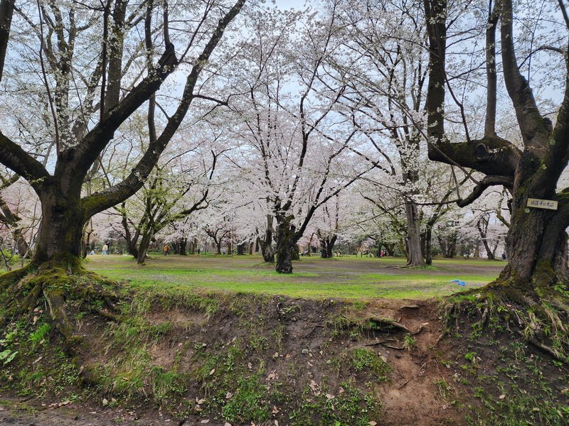 tj20250423_133613.jpg