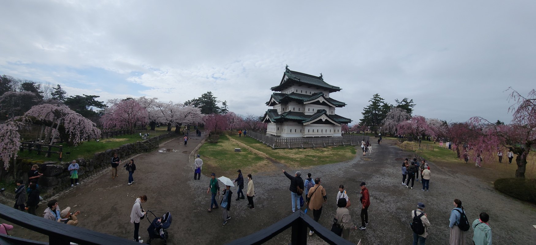 tj20250423_140604.jpg