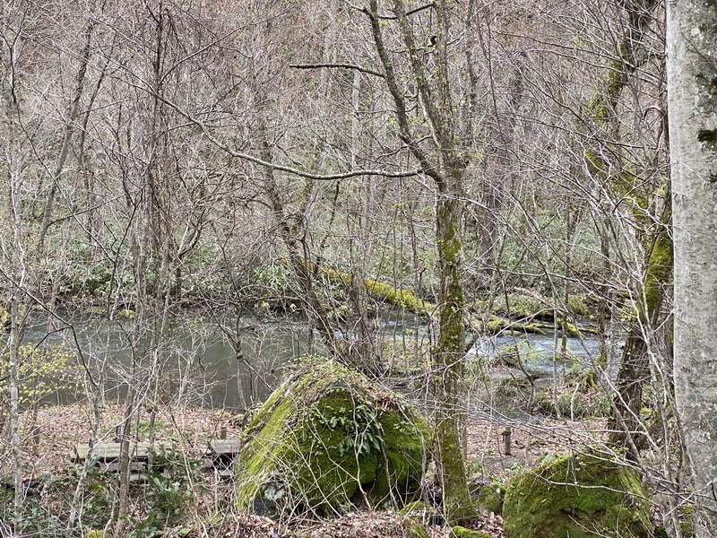 cbimg_8077.jpg
