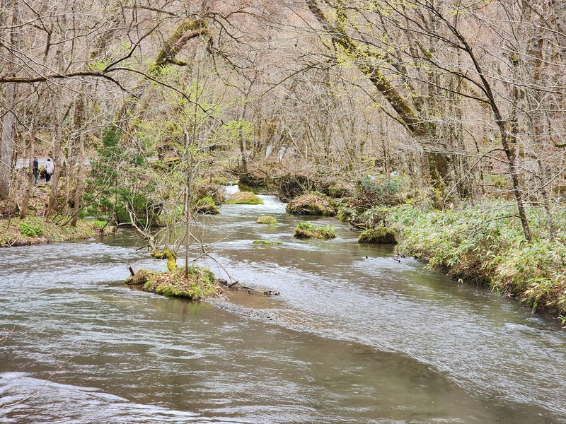 tj20250424_100222.jpg