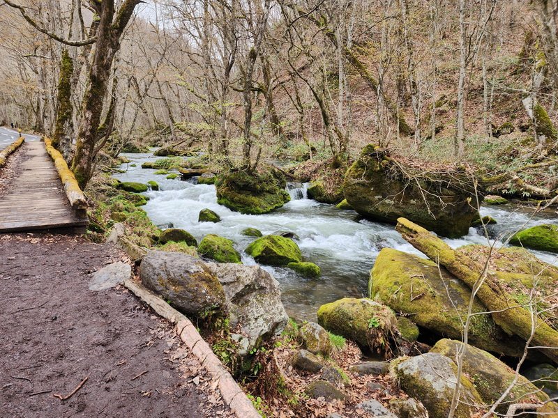 tj20250424_100603.jpg