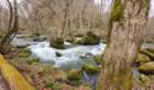tj20250424_100721_small.jpg