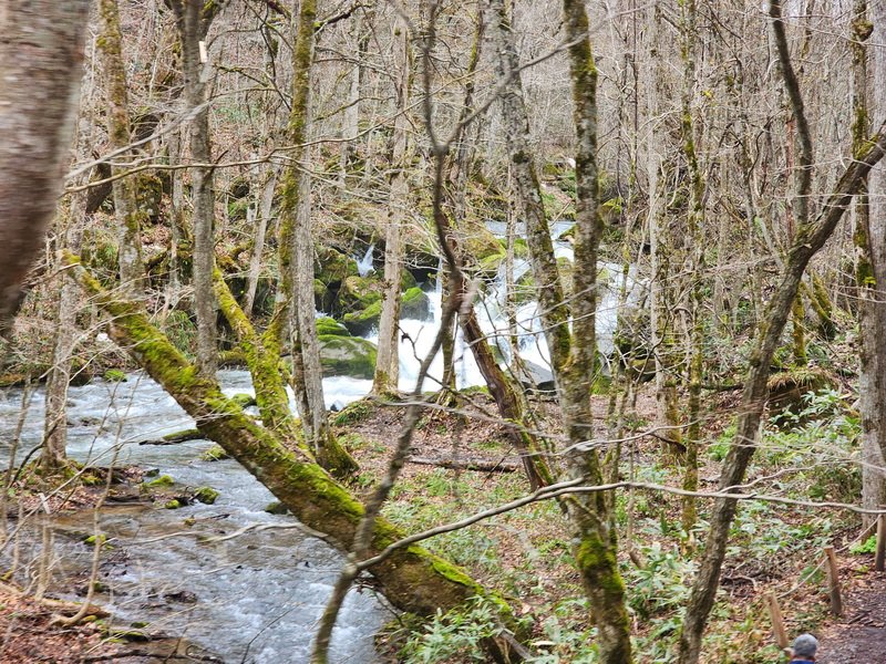 tj20250424_103134.jpg
