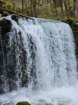 tj20250424_105532_small.jpg