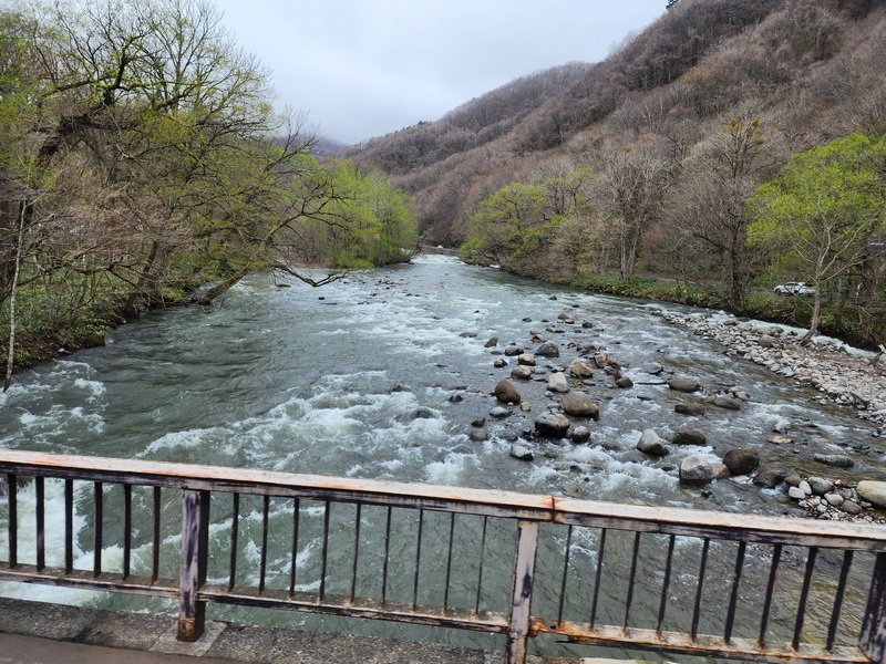 tj20250424_115932.jpg