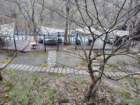 tj20250424_164436_small.jpg