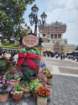 tj20250426_103137_small.jpg