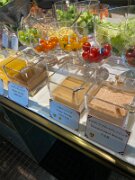 15-CB-IMG_6476