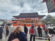 15-TJ-20250415_113802