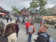 15-TJ-20250415_113843