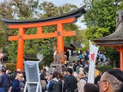 15-TJ-20250415_114136