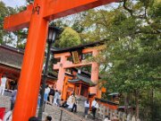 15-TJ-20250415_114307