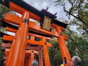 15-TJ-20250415_114507