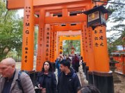 15-TJ-20250415_114550