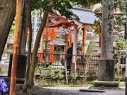 15-TJ-20250415_115237