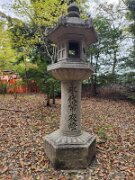 15-TJ-20250415_115531