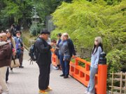 15-TJ-20250415_115909