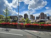 15-TJ-20250415_142957