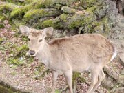 15-TJ-20250415_152512