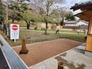 15-TJ-20250415_152613