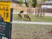 15-TJ-20250415_152619