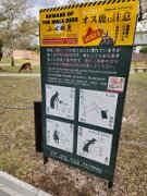 15-TJ-20250415_152634