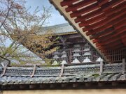 15-TJ-20250415_152926