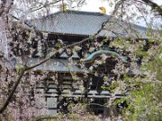 15-TJ-20250415_154426