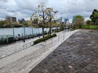 15-TJ-20250415_071013