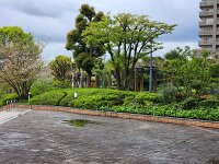 15-TJ-20250415_071048