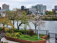 15-TJ-20250415_071059