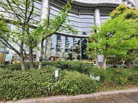 15-TJ-20250415_071244