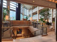 15-TJ-20250415_071344