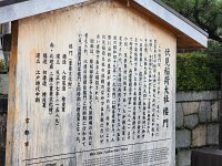 15-TJ-20250415_113725