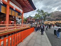 15-TJ-20250415_113832