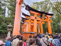 15-TJ-20250415_114441