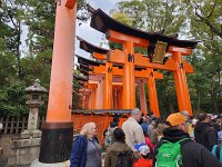 15-TJ-20250415_114451