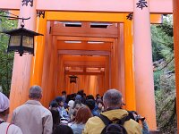 15-TJ-20250415_114530