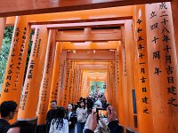 15-TJ-20250415_114619