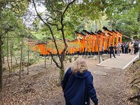 15-TJ-20250415_115124