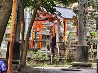 15-TJ-20250415_115237