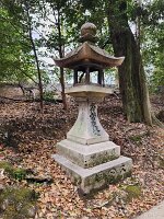 15-TJ-20250415_115539