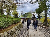 15-TJ-20250415_120013