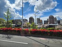 15-TJ-20250415_142957